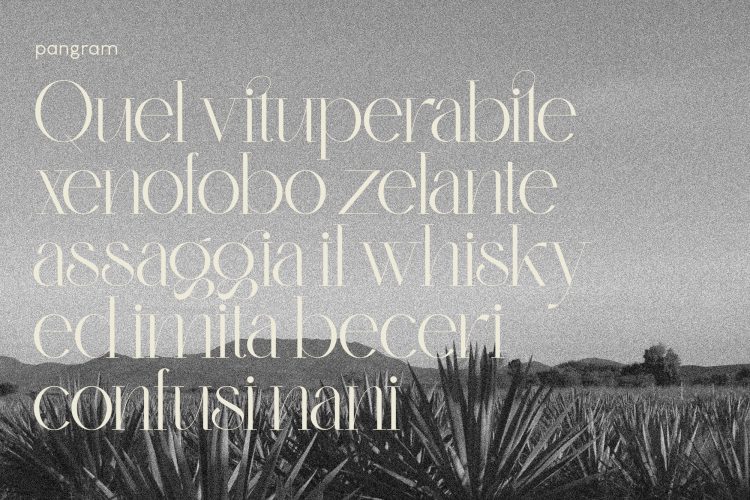 Monteilga Serif Font