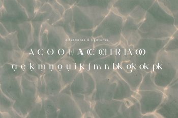 Alokary Aesthetic Sans Serif