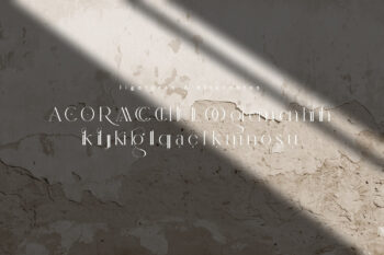 Bulgatry Elegant Serif