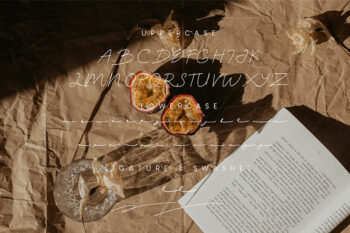 Virghie Signature Font