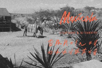 La Placha Aesthetic Brush Font