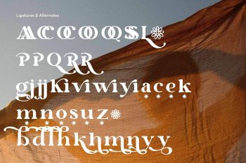 Royale & Caikes Elegant Typeface