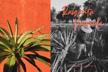 La Placha Aesthetic Brush Font
