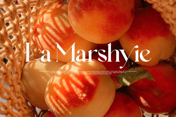 Lamarkie Elegant Typeface - Image 7