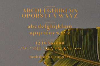 Qarkine Elegant Serif