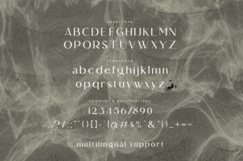 Le Atallier Elegant Sans Serif