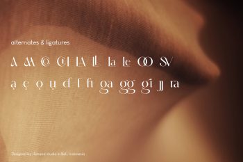 Beautiful Serif Font