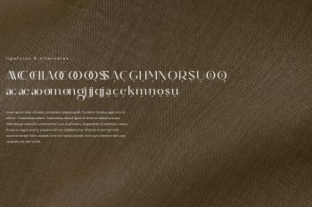 Classy Modern Serif Font Family