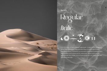 Classy Modern Serif Font Family