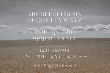 Classy Modern Serif Font Family