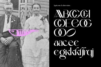 classy sans serif font