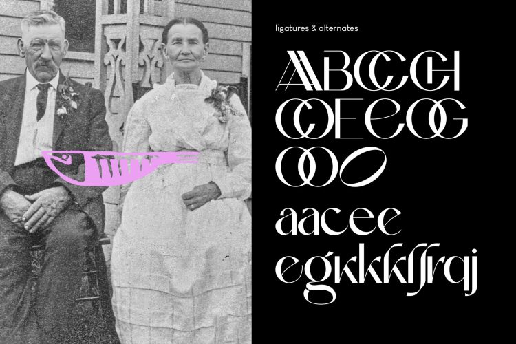 classy sans serif font