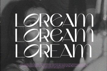 classy sans serif font