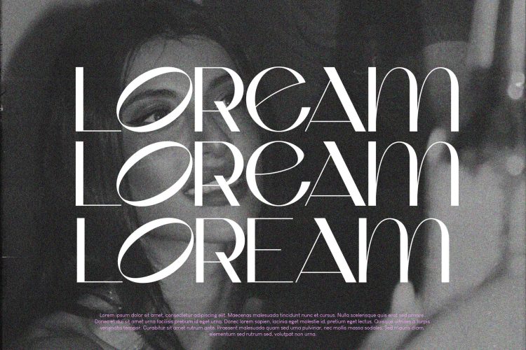 classy sans serif font