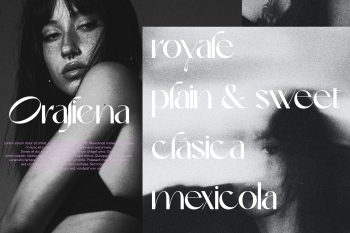 classy sans serif font