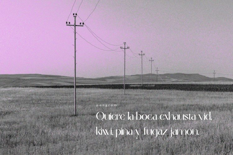 classy sans serif font