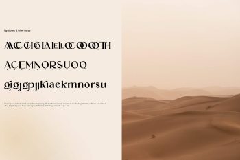 Elegant Display Font