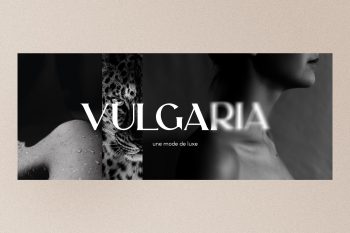 Elegant Display Font