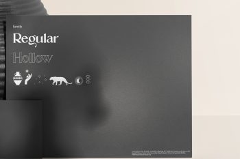 Elegant Display Font