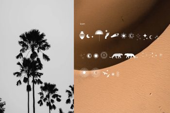 Elegant Display Font