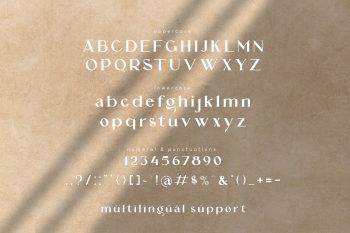 Elegant Display Font