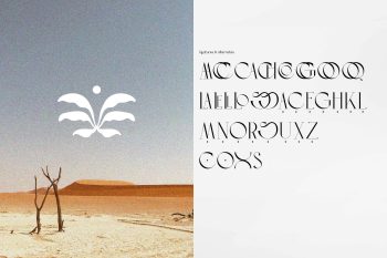 elegant serif font