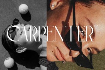 elegant serif font