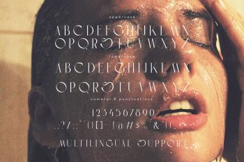 elegant serif font