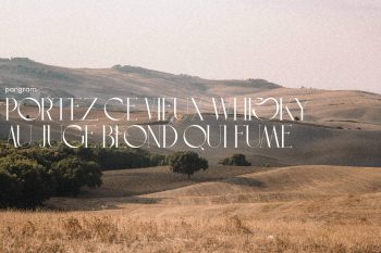 elegant serif font