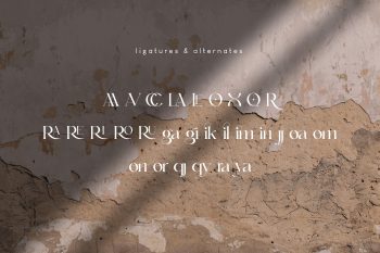 Elegant Serif Font