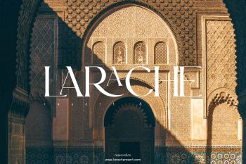 Elegant Serif Font