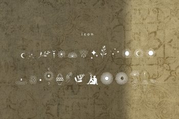 Elegant Serif Font