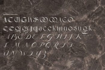 font duo script serif