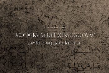 modern-sans-serif-font