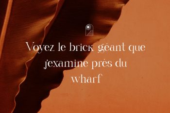 Modern Serif Font