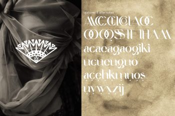 Serif Display Font