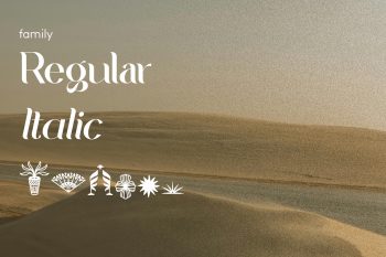 Serif Display Font