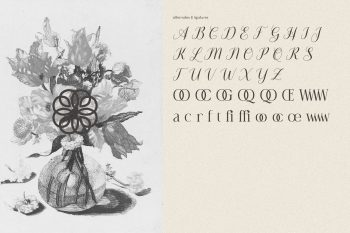 Amarieta Font