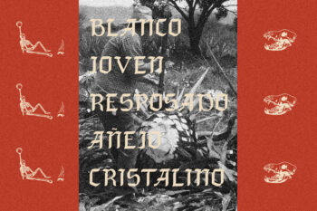 blancoka font