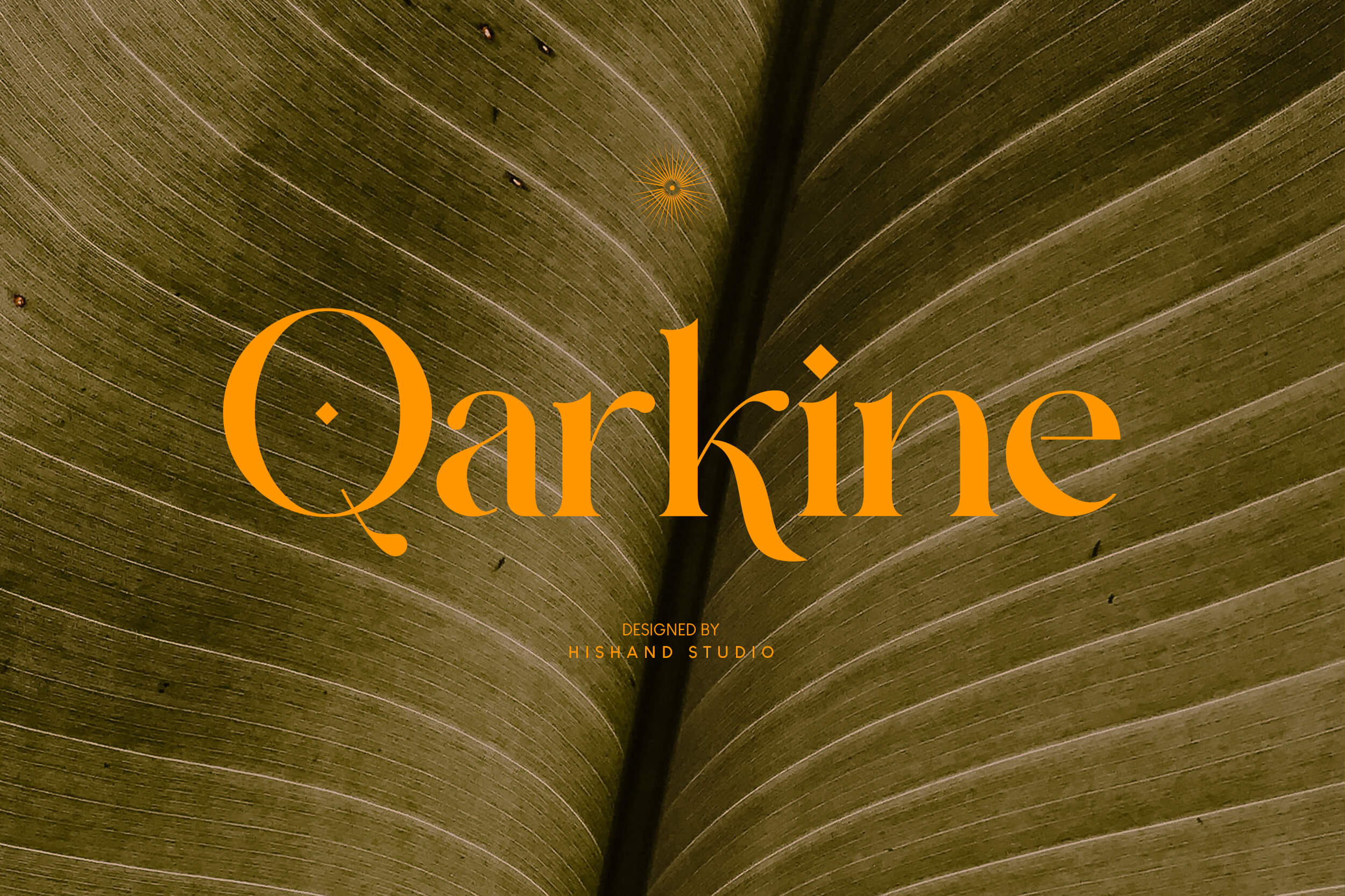 8. qarkine