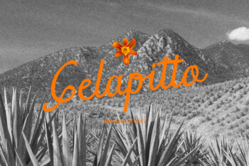 Gelapitto Font