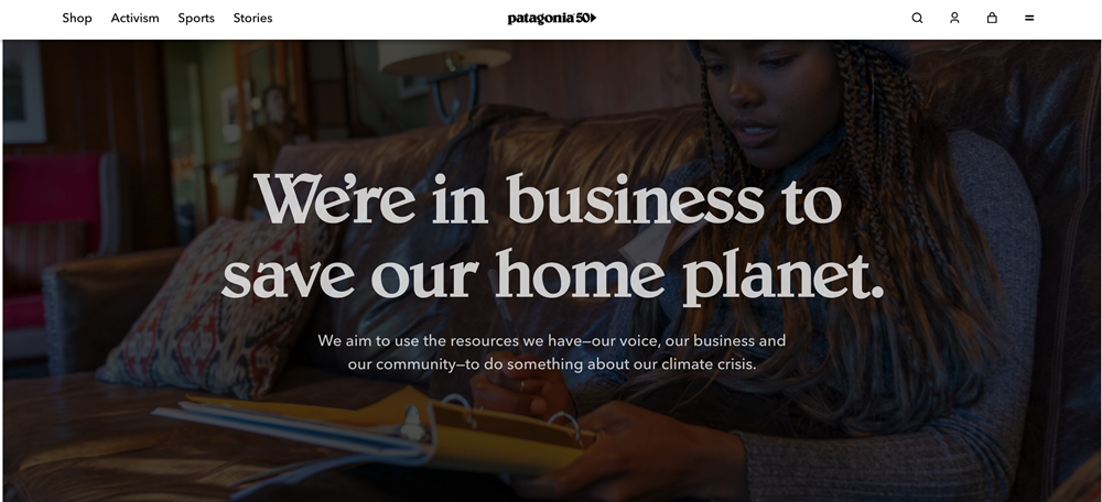 Patagonia Corporate Branding