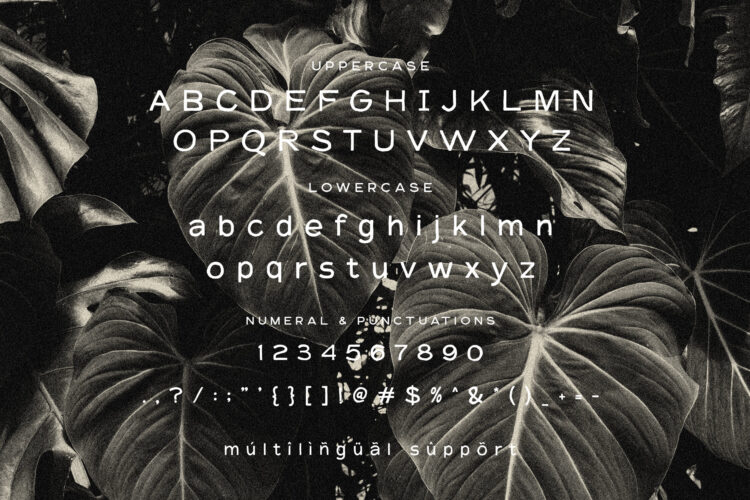 Karteh Font