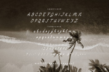 Camarali Font
