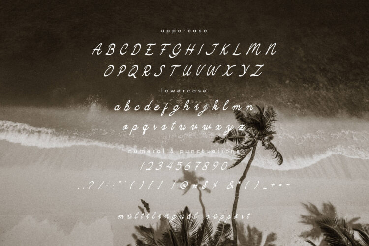 Camarali Font