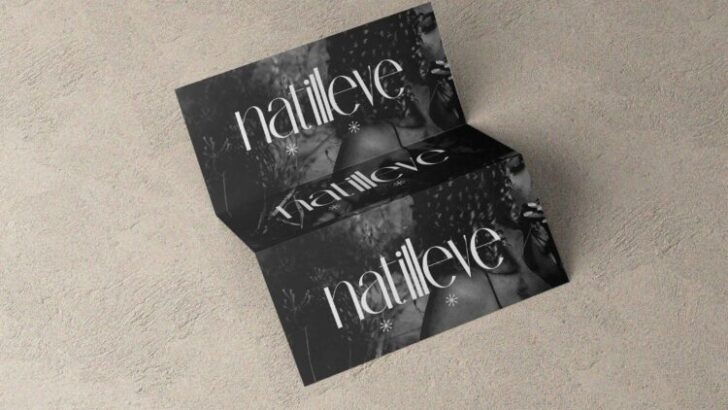 High Contrast Font Styles for Premium Graphic Designs