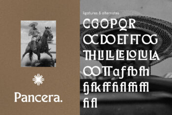 Merchad Serif Display