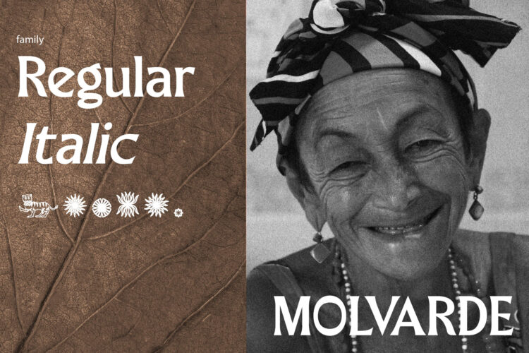 Merchad Serif Display