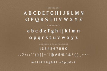 Merchad Serif Display