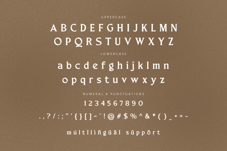 Merchad Serif Display